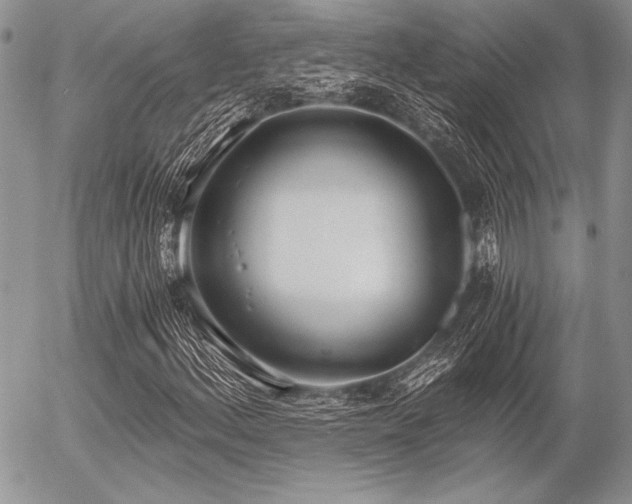 X0000056361156200508261330
