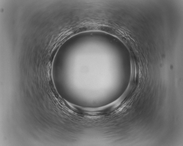 X0000056361157200508261330