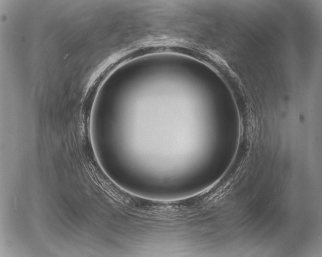 X0000056361167200508261330