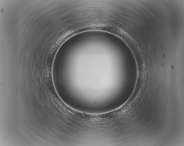 X0000056361169200508261330