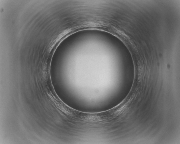 X0000056361170200508261330