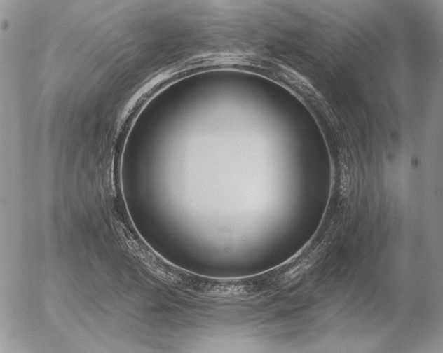 X0000056361174200508261329