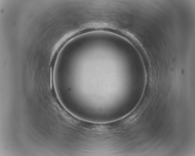 X0000056361175200508261329