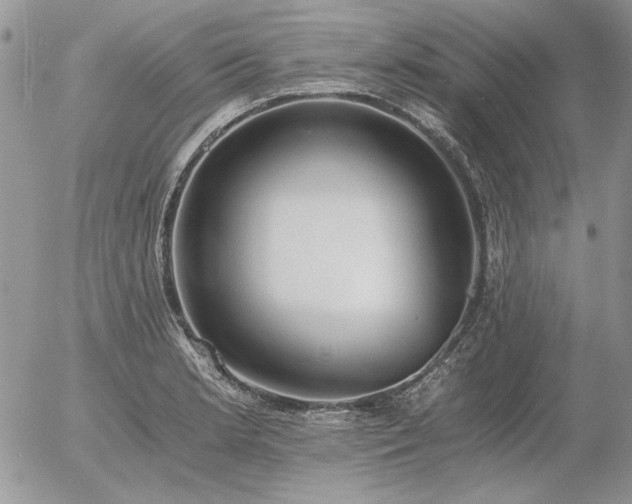 X0000056361181200508261329
