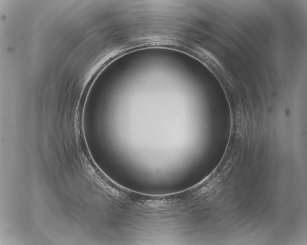 X0000056361182200508261329