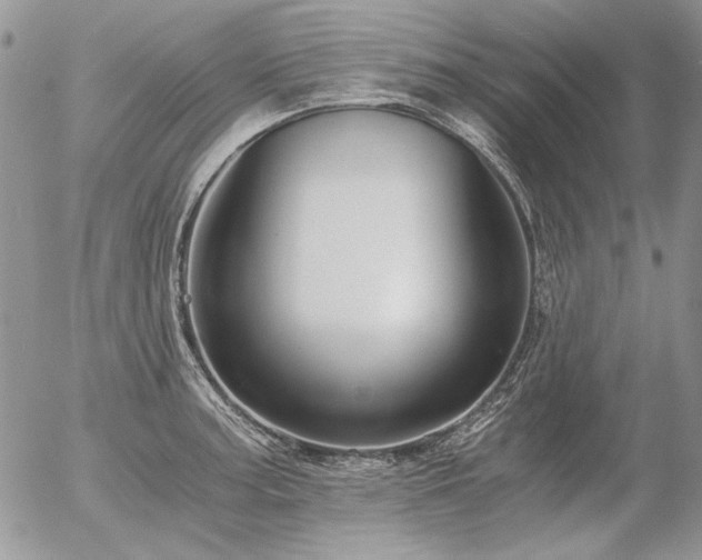 X0000056361187200508261329