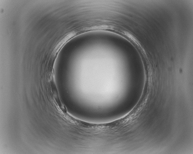 X0000056361193200508261329