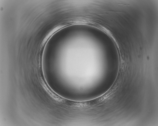X0000056361195200508261329