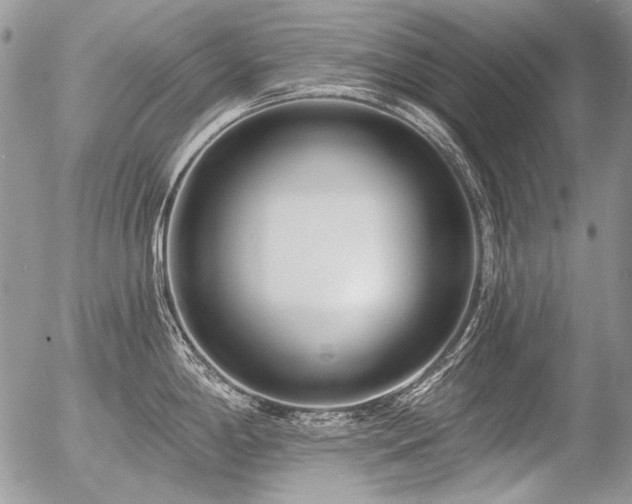 X0000056361198200508261329