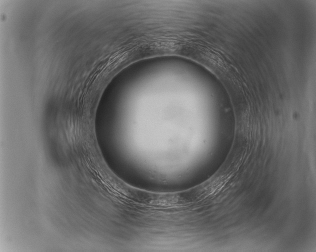 X0000056361201200508261328