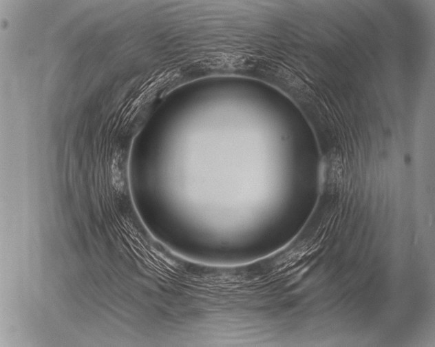 X0000056361202200508261328