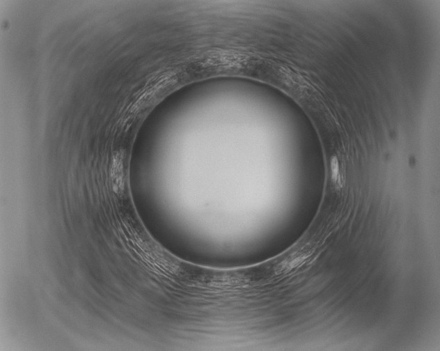 X0000056361203200508261328