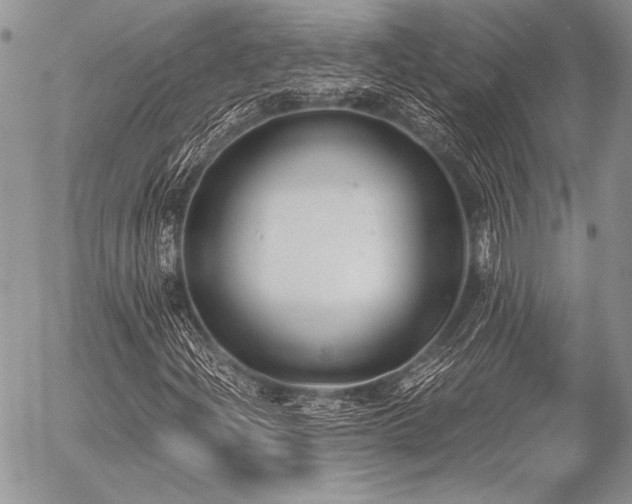 X0000056361204200508261328