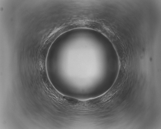 X0000056361206200508261328