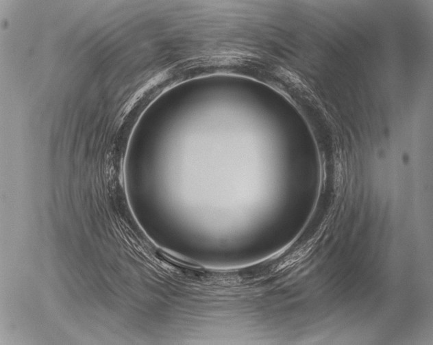 X0000056361210200508261328