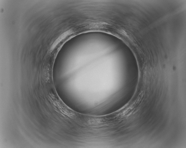 X0000056361211200508261328