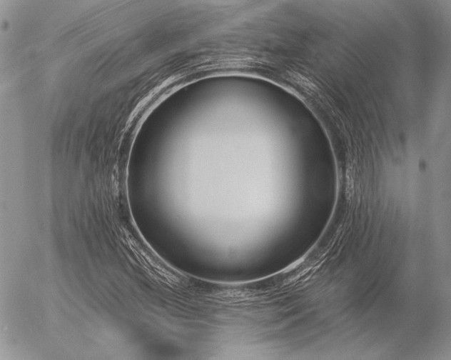 X0000056361212200508261328