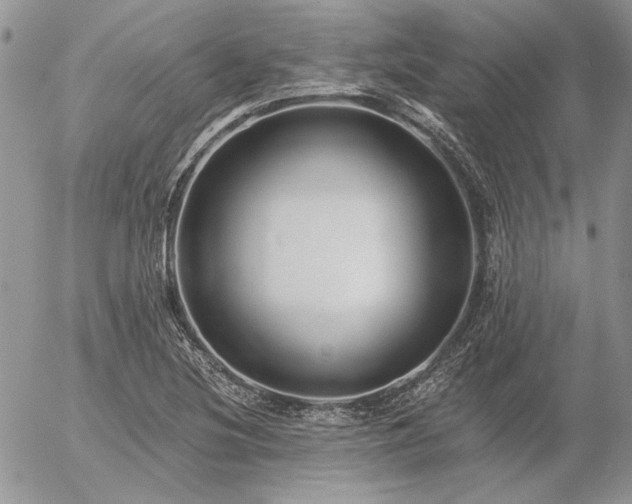 X0000056361220200508261329
