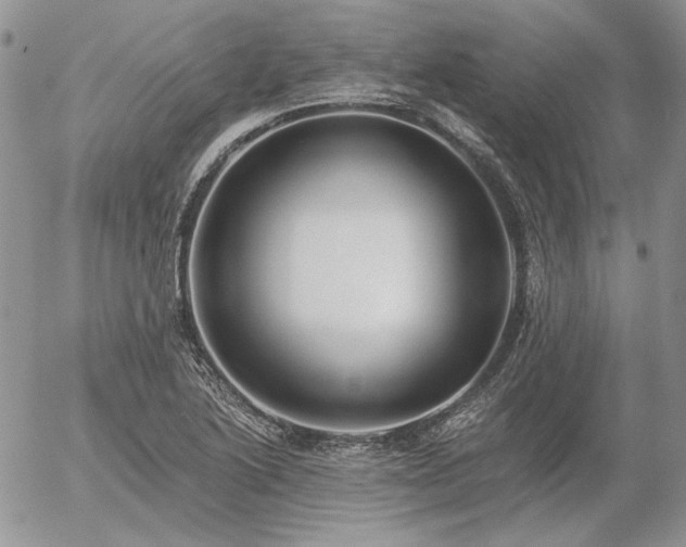 X0000056361222200508261329