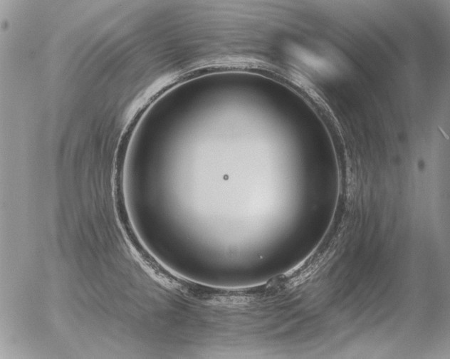 X0000056361237200508261329