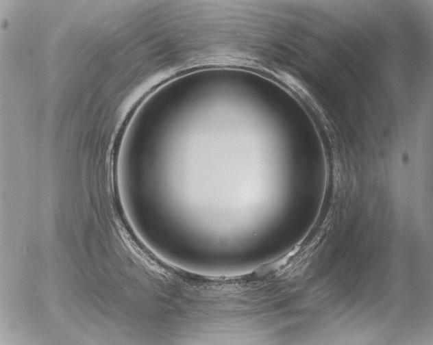 X0000056361238200508261329