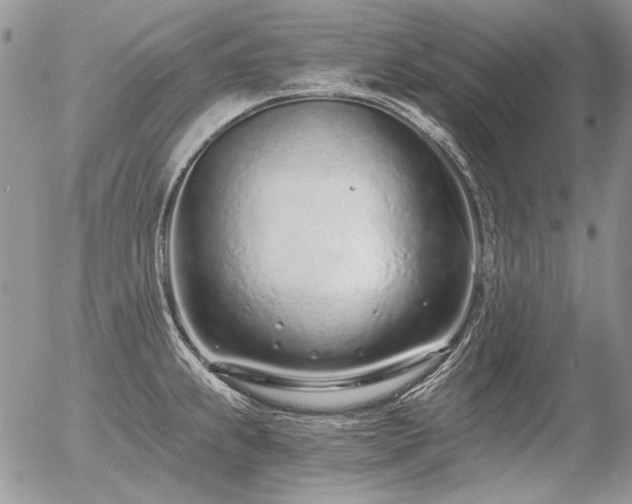 X0000056361239200508261329