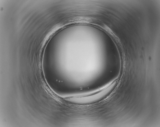 X0000056361240200508261329