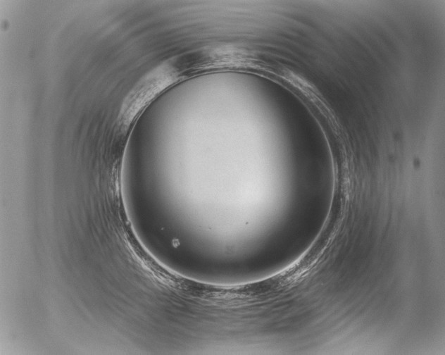 X0000056361241200508261329