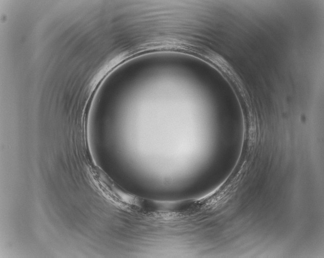 X0000056361242200508261329