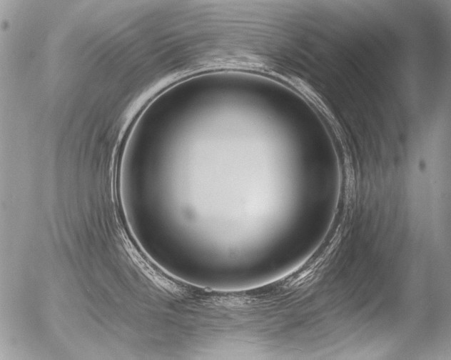 X0000056361246200508261329