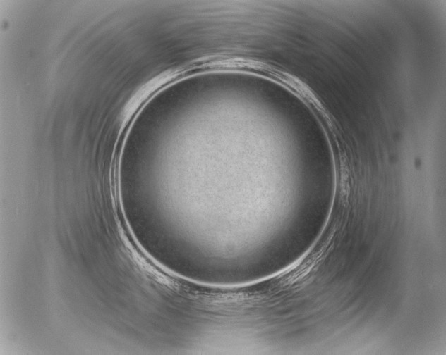 X0000056361247200508261329