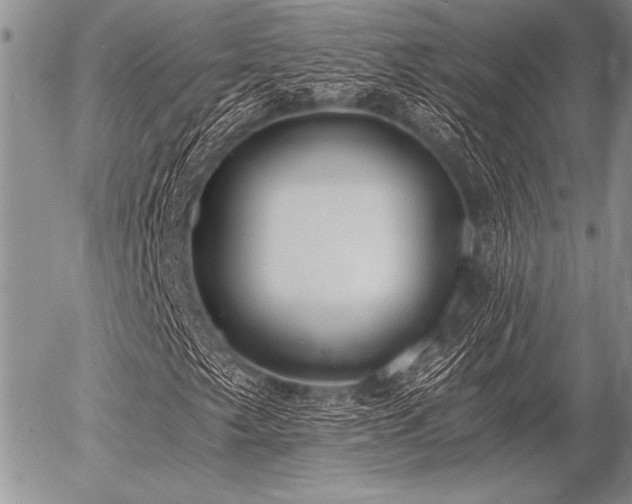 X0000056361249200508261328