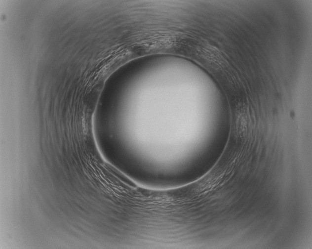 X0000056361250200508261328