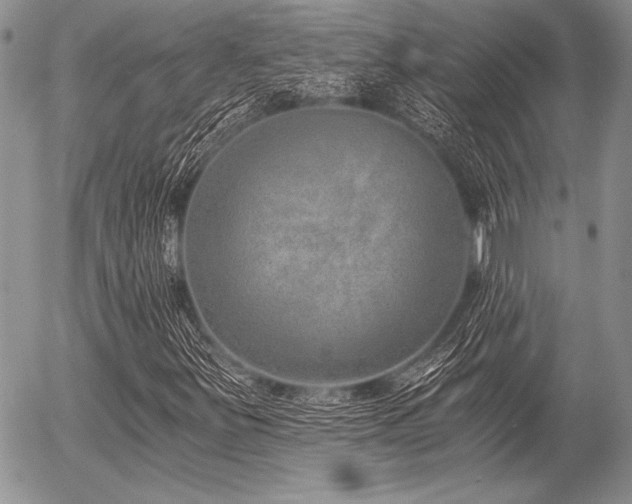 X0000056361251200508261328