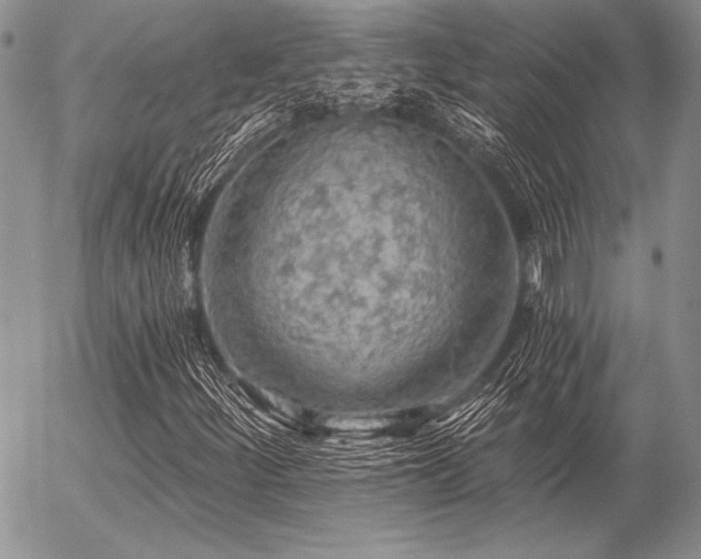 X0000056361252200508261328