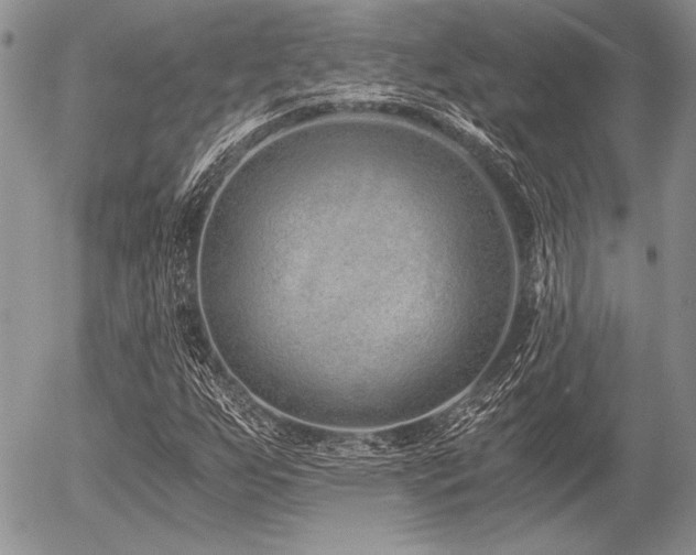 X0000056361255200508261328