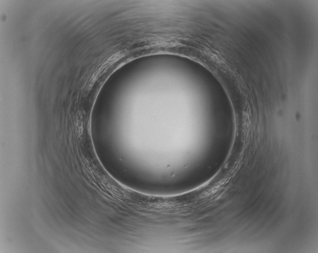 X0000056361257200508261328