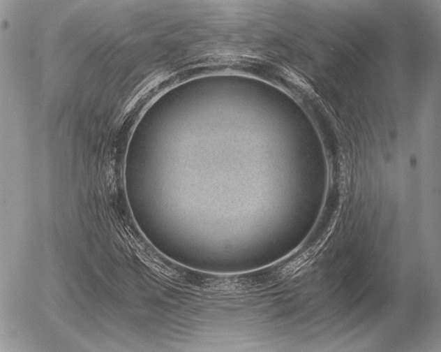 X0000056361259200508261328