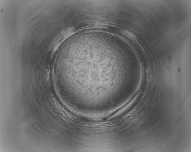 X0000056361260200508261328