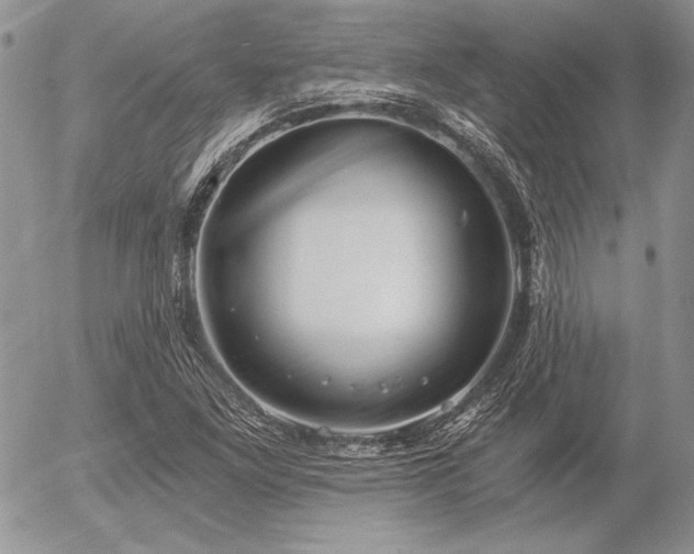 X0000056361261200508261328