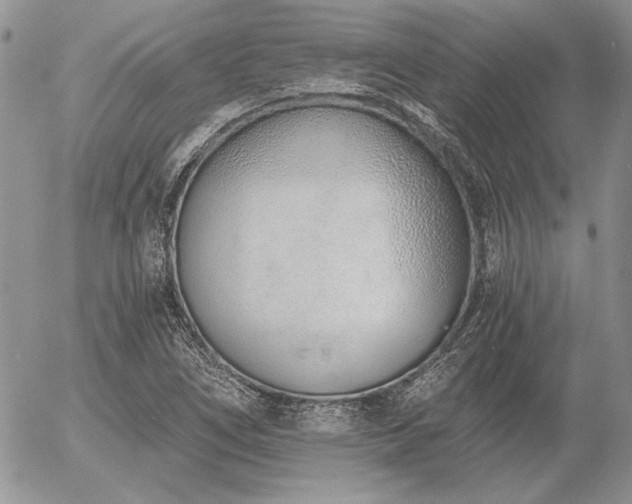 X0000056361266200508261328