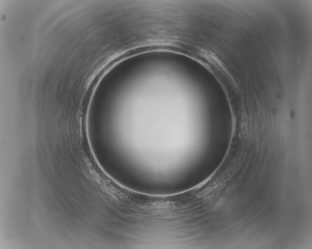 X0000056361268200508261328