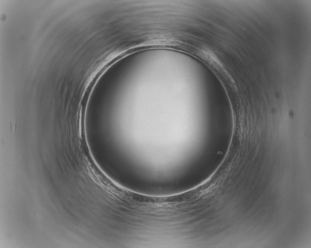 X0000056361276200508261328