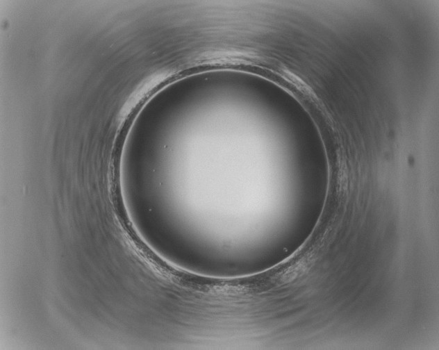 X0000056361277200508261328