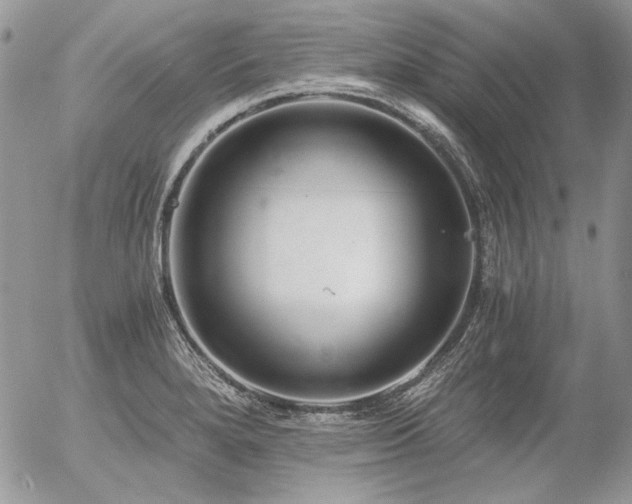 X0000056361280200508261328