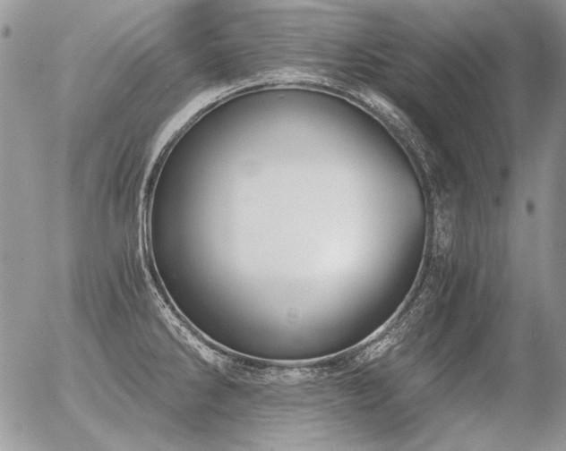 X0000056361286200508261328