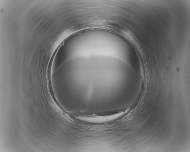 X0000056361291200508261328