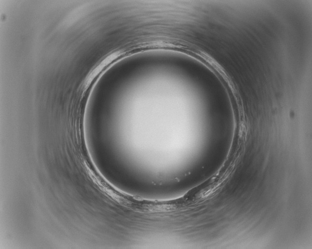 X0000056361293200508261328