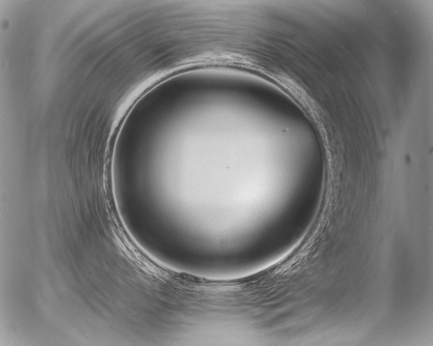 X0000056361296200508261327