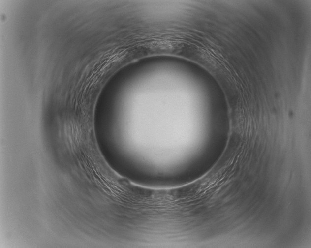 X0000056361297200508261327